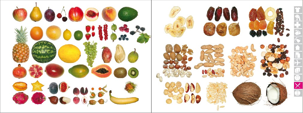 ICOON Food Icons